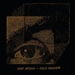 Asaf Avidan-Gold shadow