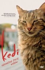 Ceyda Torun-Kedi - sekretne życie kotów