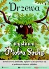 [PL]Wystawa „Drzewa” Piotra Sochy